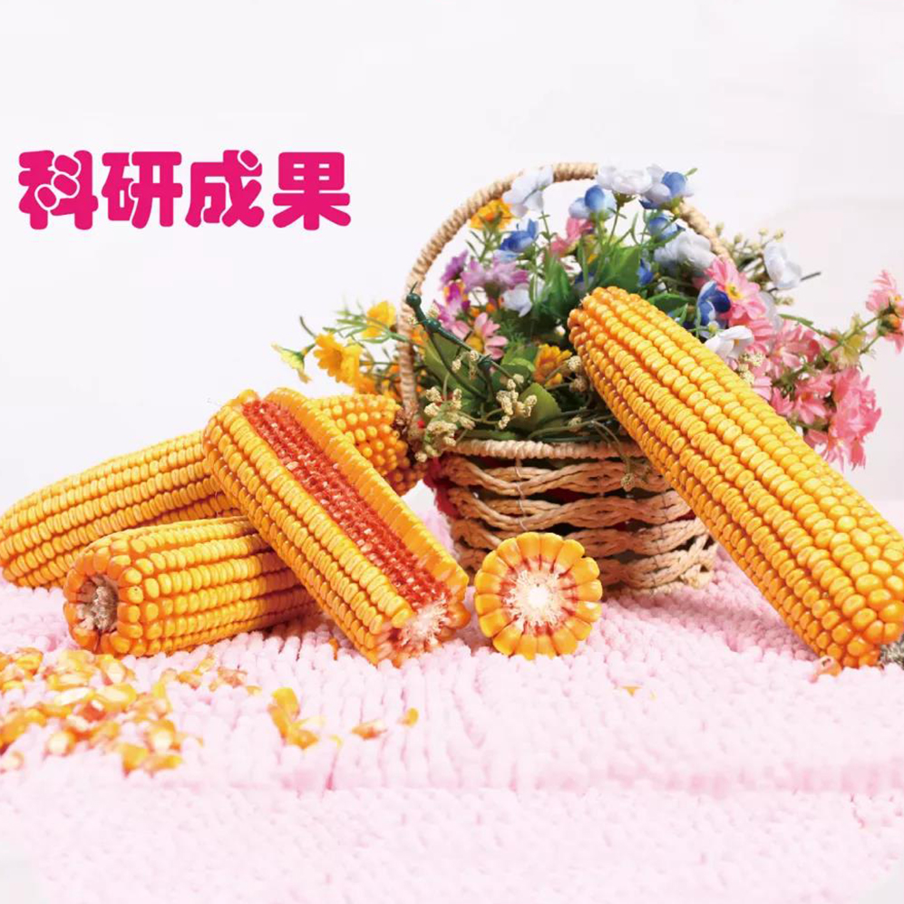 譽(yù)成203